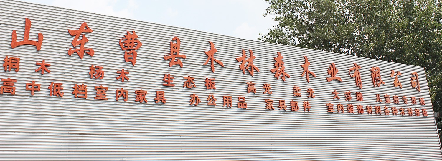 Shandong Caoxian Mulinsen Wood Industry Co., Ltd.